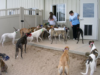 Almost Home for Hounds Facility