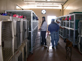 Almost Home for Hounds Facility