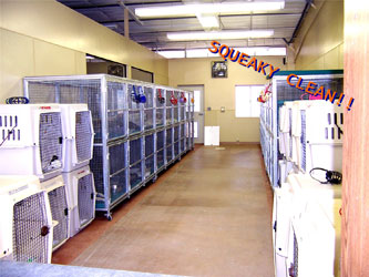 Almost Home for Hounds Facility