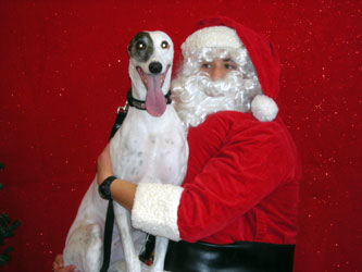 Almost Home for Hounds