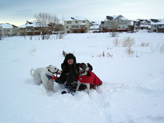 Almost Home for Hounds