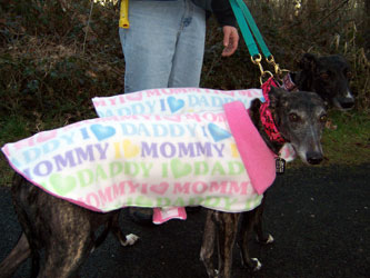 Almost Home for Hounds