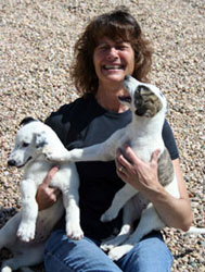 Almost Home for Hounds